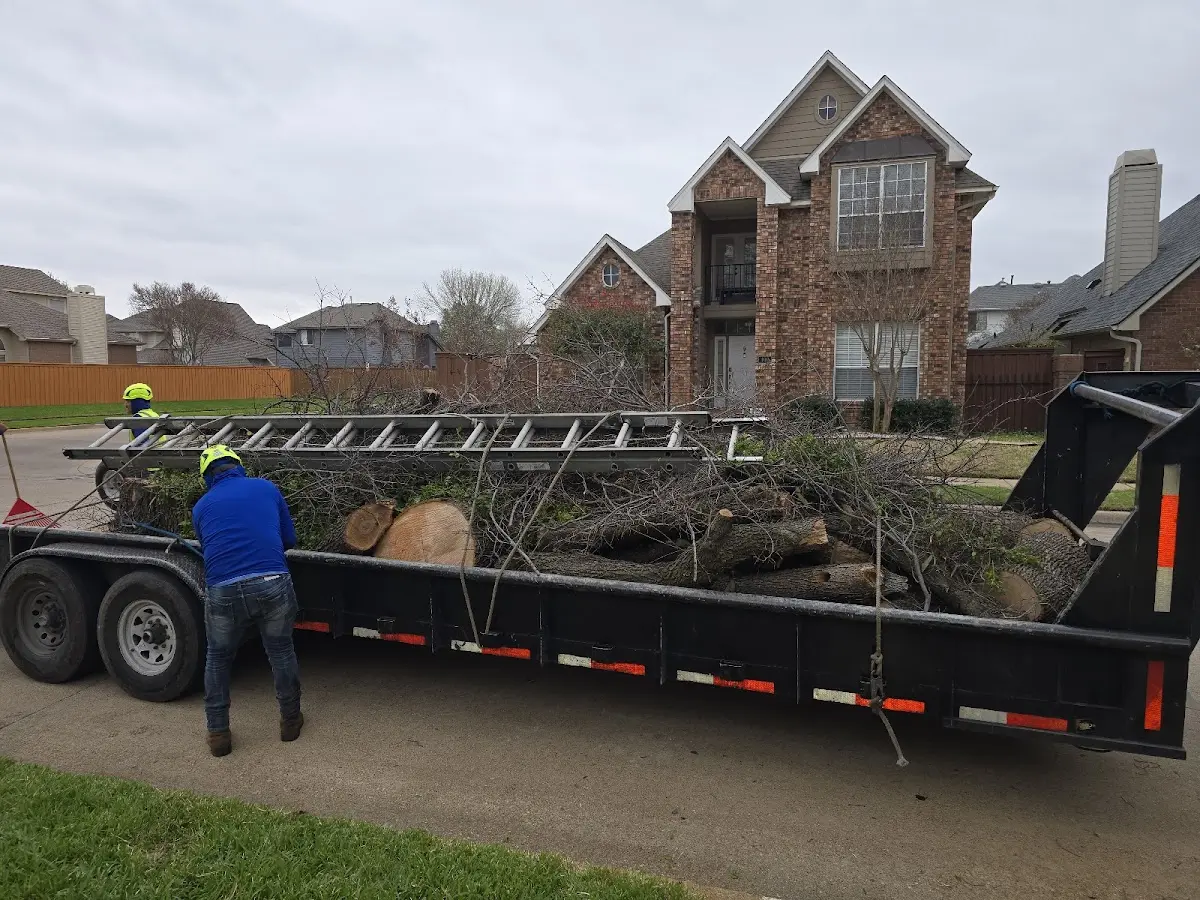 Expert Tree Fertilization with proper safety equipment in Arma